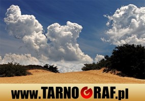 Fototapeta na wymiar - P.H.U. TARNOGRAF - Fabryka Reklamy Tarnobrzeg