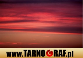 Fototapeta na wymiar - P.H.U. TARNOGRAF - Fabryka Reklamy Tarnobrzeg