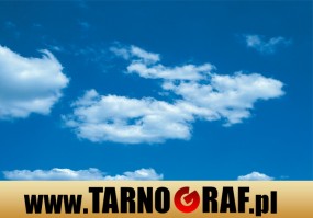 Fototapeta na wymiar - P.H.U. TARNOGRAF - Fabryka Reklamy Tarnobrzeg