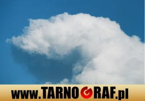 Fototapeta na wymiar - P.H.U. TARNOGRAF - Fabryka Reklamy Tarnobrzeg