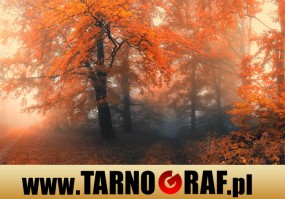 Fototapeta na wymiar - P.H.U. TARNOGRAF - Fabryka Reklamy Tarnobrzeg