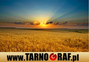 Fototapeta na wymiar - P.H.U. TARNOGRAF - Fabryka Reklamy Tarnobrzeg