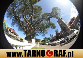 Fototapeta na wymiar - P.H.U. TARNOGRAF - Fabryka Reklamy Tarnobrzeg