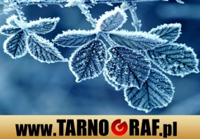 Fototapeta na wymiar - P.H.U. TARNOGRAF - Fabryka Reklamy Tarnobrzeg