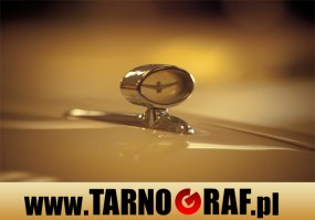 Fototapeta na wymiar - P.H.U. TARNOGRAF - Fabryka Reklamy Tarnobrzeg