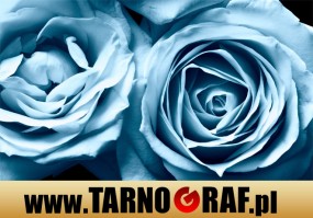 Fototapeta na wymiar - P.H.U. TARNOGRAF - Fabryka Reklamy Tarnobrzeg