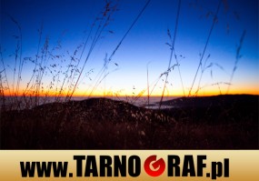 Fototapeta na wymiar - P.H.U. TARNOGRAF - Fabryka Reklamy Tarnobrzeg