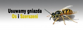 Zwalczanie Os, Szerszeni - Usuwanie gniazd os i szerszeni - Dezynsekcja Dezynfekcja Deratyzacja InsektKiller Rzeszów