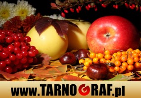 Fototapeta na wymiar - P.H.U. TARNOGRAF - Fabryka Reklamy Tarnobrzeg