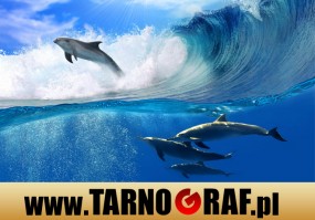 Fototapeta na wymiar - P.H.U. TARNOGRAF - Fabryka Reklamy Tarnobrzeg