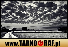 Fototapeta na wymiar - P.H.U. TARNOGRAF - Fabryka Reklamy Tarnobrzeg