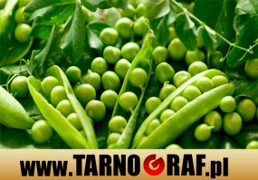 Fototapeta na wymiar - P.H.U. TARNOGRAF - Fabryka Reklamy Tarnobrzeg