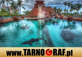 Fototapeta na wymiar - P.H.U. TARNOGRAF - Fabryka Reklamy Tarnobrzeg