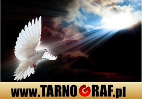 Fototapeta na wymiar - P.H.U. TARNOGRAF - Fabryka Reklamy Tarnobrzeg