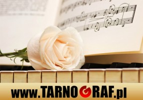 Fototapeta na wymiar - P.H.U. TARNOGRAF - Fabryka Reklamy Tarnobrzeg