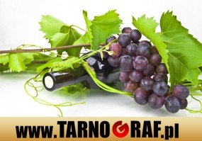 Fototapeta na wymiar - P.H.U. TARNOGRAF - Fabryka Reklamy Tarnobrzeg