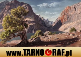 Fototapeta na wymiar - P.H.U. TARNOGRAF - Fabryka Reklamy Tarnobrzeg