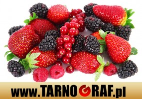 Fototapeta na wymiar - P.H.U. TARNOGRAF - Fabryka Reklamy Tarnobrzeg