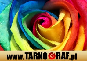 Fototapeta na wymiar - P.H.U. TARNOGRAF - Fabryka Reklamy Tarnobrzeg