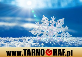 Fototapeta na wymiar - P.H.U. TARNOGRAF - Fabryka Reklamy Tarnobrzeg