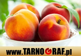 Fototapeta na wymiar - P.H.U. TARNOGRAF - Fabryka Reklamy Tarnobrzeg