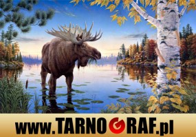 Fototapeta na wymiar - P.H.U. TARNOGRAF - Fabryka Reklamy Tarnobrzeg