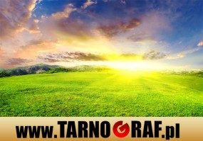 Fototapeta na wymiar - P.H.U. TARNOGRAF - Fabryka Reklamy Tarnobrzeg