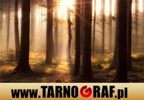 Fototapeta na wymiar - P.H.U. TARNOGRAF - Fabryka Reklamy Tarnobrzeg