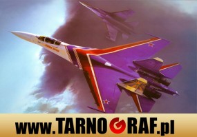 Fototapeta na wymiar - P.H.U. TARNOGRAF - Fabryka Reklamy Tarnobrzeg