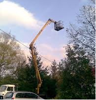 Usługi podnośnikiem koszowym -  wycinka, chirurgia drzew - Firma Remontowo - Budowlano - Transportowa  MAT-REM Remigiusz Matusiak Łąck