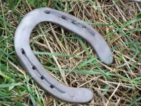 odsadki - klaczki - SEREDNIE - Stadnina koni huculskich - Smoleńscy K.W. Serednie Małe