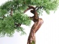Pracownia Artystyczna Dragon Maria Pietras Łomża - Sztuczne drzewko bonsai