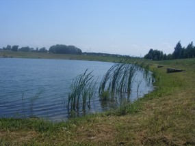 komercyjne łowisko pstrągowe - Łowisko Podolsze