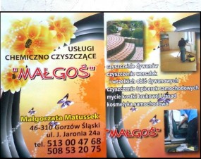 kosmetyka samochodowa-mycie kostki brukowej i fasad - Uslugi chemiczno czyszczace  MALGOS  Gorzów Śląski