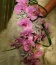 kwiaty do ślubu Tarnów - art dekor kwiaciarnia, dostawa kwiatów