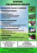 Przycinanie i strzyżenie Żywopłotów - Czysty Dywan - Pranie i czyszczenie tapicerki samochodowej i meblowej Stargard Szczeciński