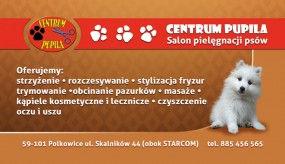 pielęgnacja psów - Salon Pielęgnacji Psów  CENTRUM PUPILA  Polkowice