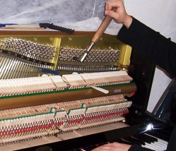 Strojenie i naprawa pianin lub fortepianów - Strojenie i naprawa instrumentów muzycznych - Jarosław Kopeć Stare Prażuchy