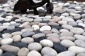 Mozaika kamienna Gdynia - Otoczaki