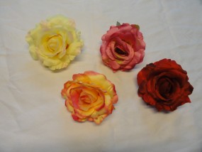 róża satynowa - P.H.U. Azalia Starachowice