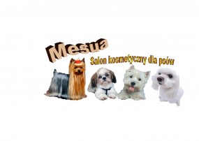 salon dla psów - Salon kosmetyczny dla psów MESUA Swarzędz