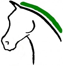 www.equi-point.pl pasze dla koni Olsztyn - EQUI-POINT Profesjonalne zywienie i pielęgnacja koni Olsztyn