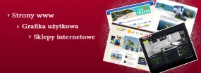 Profesjonalne usługi informatyczne - REINFO-SERWIS Chełmiec