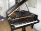 strojenie, naprawa, remonty pianin i fortepianów Muzyka  - Gdynia PIANO CLASSIC