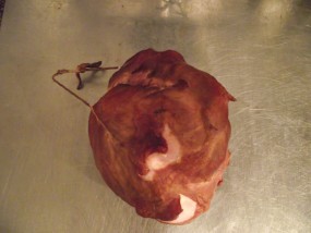 Ogonówka - Przetwórnia Mięsa W.M. Fijałkowscy s.c. Wadowice