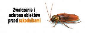 Dezynsekcja - Zwalczanie Prusaków , Karaluchów - InsektKiller Dezynsekcja Dezynfekcja Deratyzacja Rzeszów