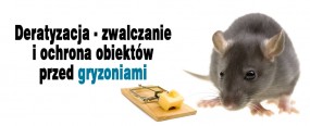 Deratyzacja - Zwalczanie Myszy , Szczurów , Całe Podkarpacie - InsektKiller Dezynsekcja Dezynfekcja Deratyzacja Rzeszów