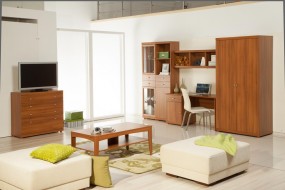 MERIS system Aleksandrów Łódzki, Andrespol, Brójce, Bukowiec, Dobr - Domino-Meble s.c. Agnieszka Bury, Michał Bury Łódź