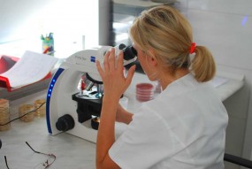 Badania mikrobiologiczne środowiska - Laboratorium Diagnostyki Weterynaryjnej Ewa Szneider Lipno