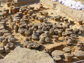 Badania sondażowe - wykopaliskowe - Pracownia Badań i Usług Archeologicznych  ARCHAIA  Przeworsk